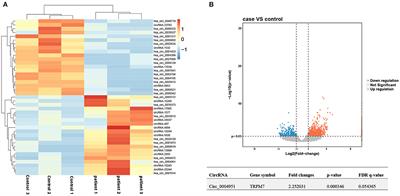 Circ_0004951 Promotes Pyroptosis of Renal Tubular Cells via the NLRP3 Inflammasome in Diabetic Kidney Disease